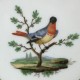 Paris - Manufacture de Nast - Tasse aux oiseaux - Début du XIXe siècle