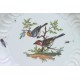 Meissen - Plat en porcelaine à décor d'oiseaux et d'insectes - XVIIIe Siècle